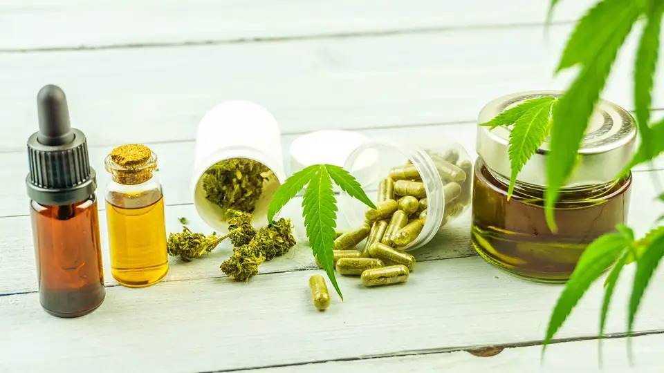 Your Membership Guide to Cannabis Clubs